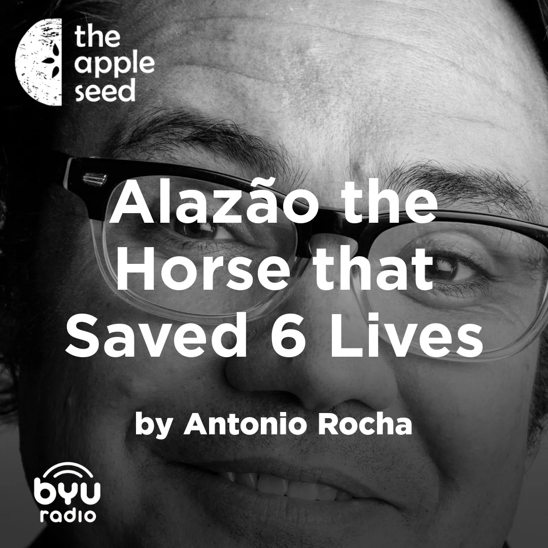 06uFx0TpDOqoC5oV6OuuDdOp2ZgEYrDNp6dcK-miKw0_fdf8e8