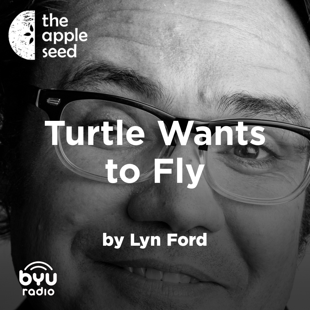 2026-01-03-latter-daily-the-apple-seed-sam-payne-lyn-ford-turtle-wants-to-fly-cover