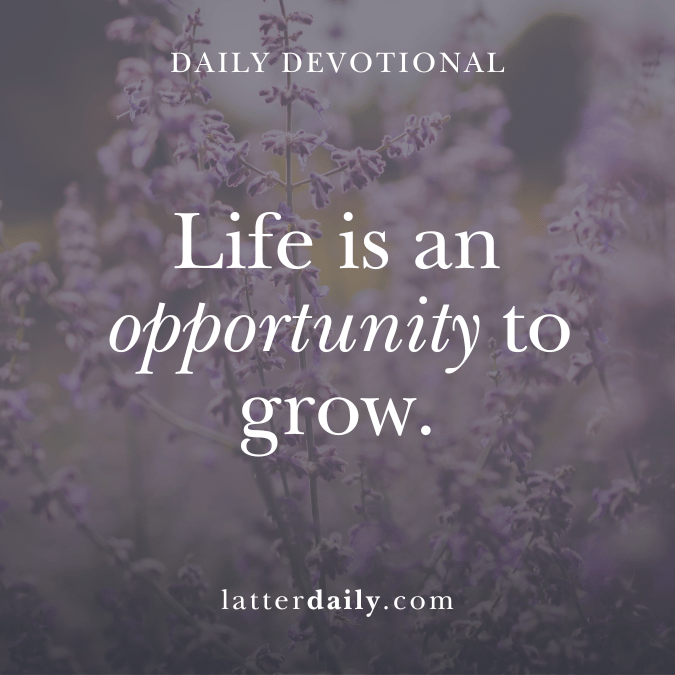 8-20-25-latterdaily-hank-smith-john-bytheway-devotionals-cover
