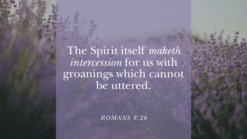 8-8-25-latterdaily-hank-smith-john-bytheway-devotionals-hero