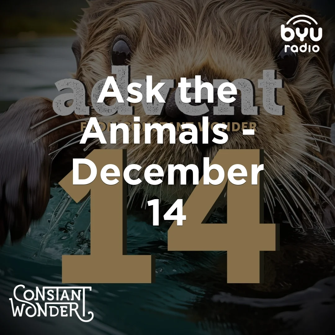 Lb3BWrQQBu_GxkF7lAvzelwCAfwrSlp3UMcFOZ-r17U_exruun