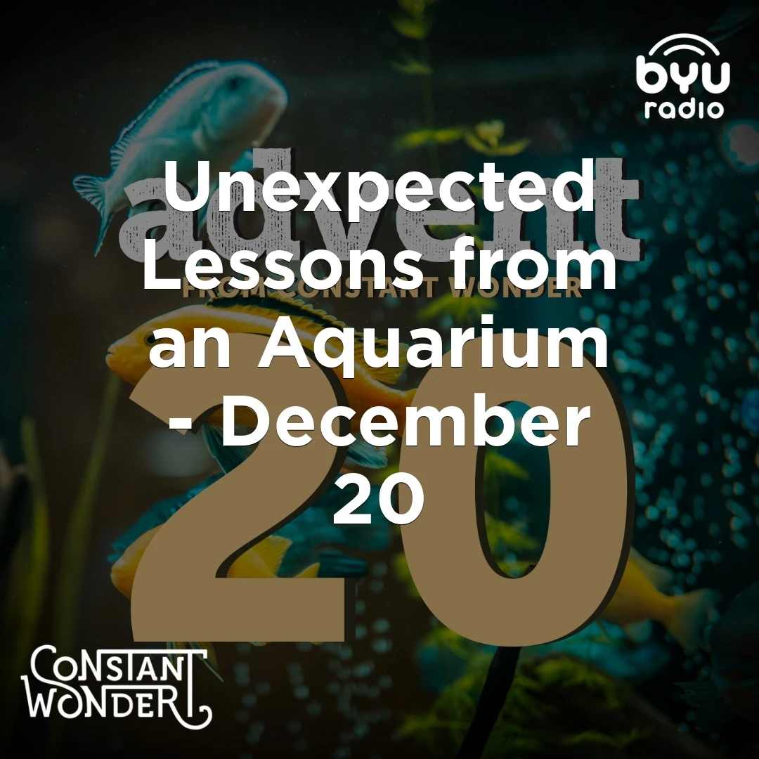 RpOA032K7uXAgA_TgUmzL4Adp2lkN1jOavm62n2NjiQ_qlv8n2