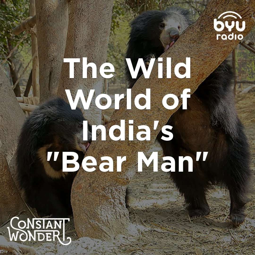 aAvFoyRrIiBVAdUzqpv_Zc2V0tD_XEoWO0US7WErzYY_oqzdcy