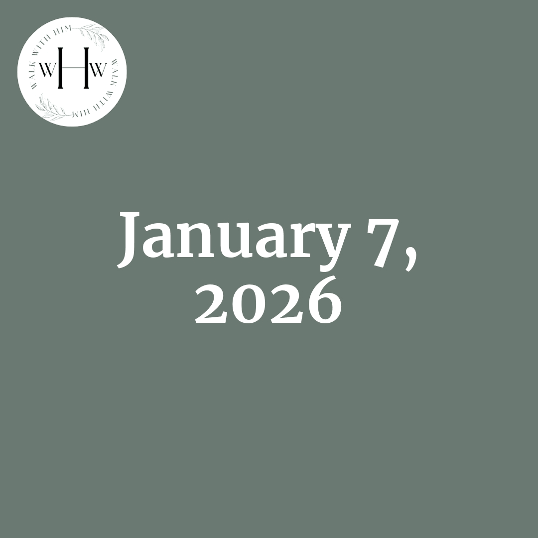 aaEtn_94l1ncxblYcr4FkxcWtwDcNRkJvF1dAFL3EjA_ks6hwt