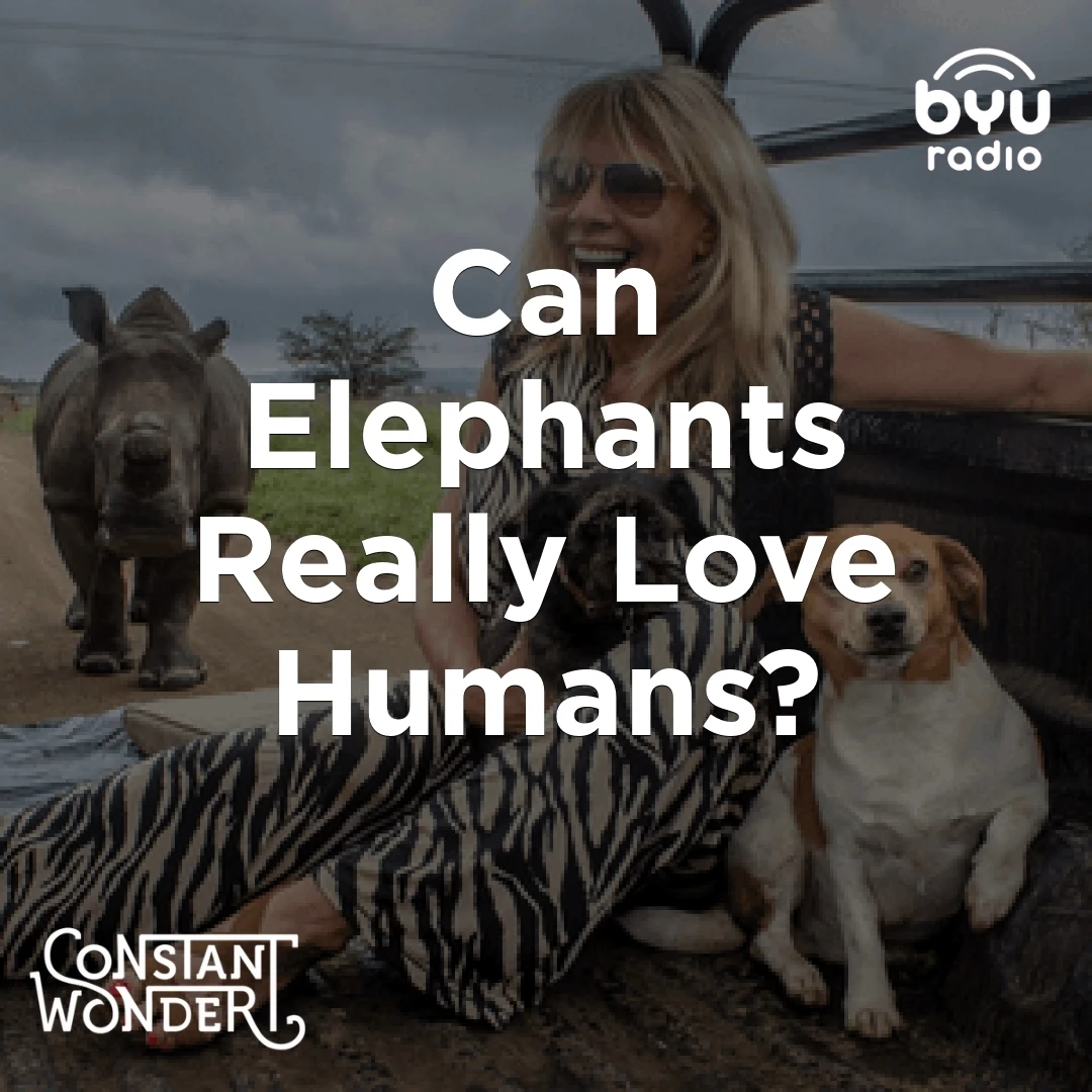 aloAwve79N8tF0lhBVHN9_nRBGjTPnJMM331RVsB5KM_vnq3cp