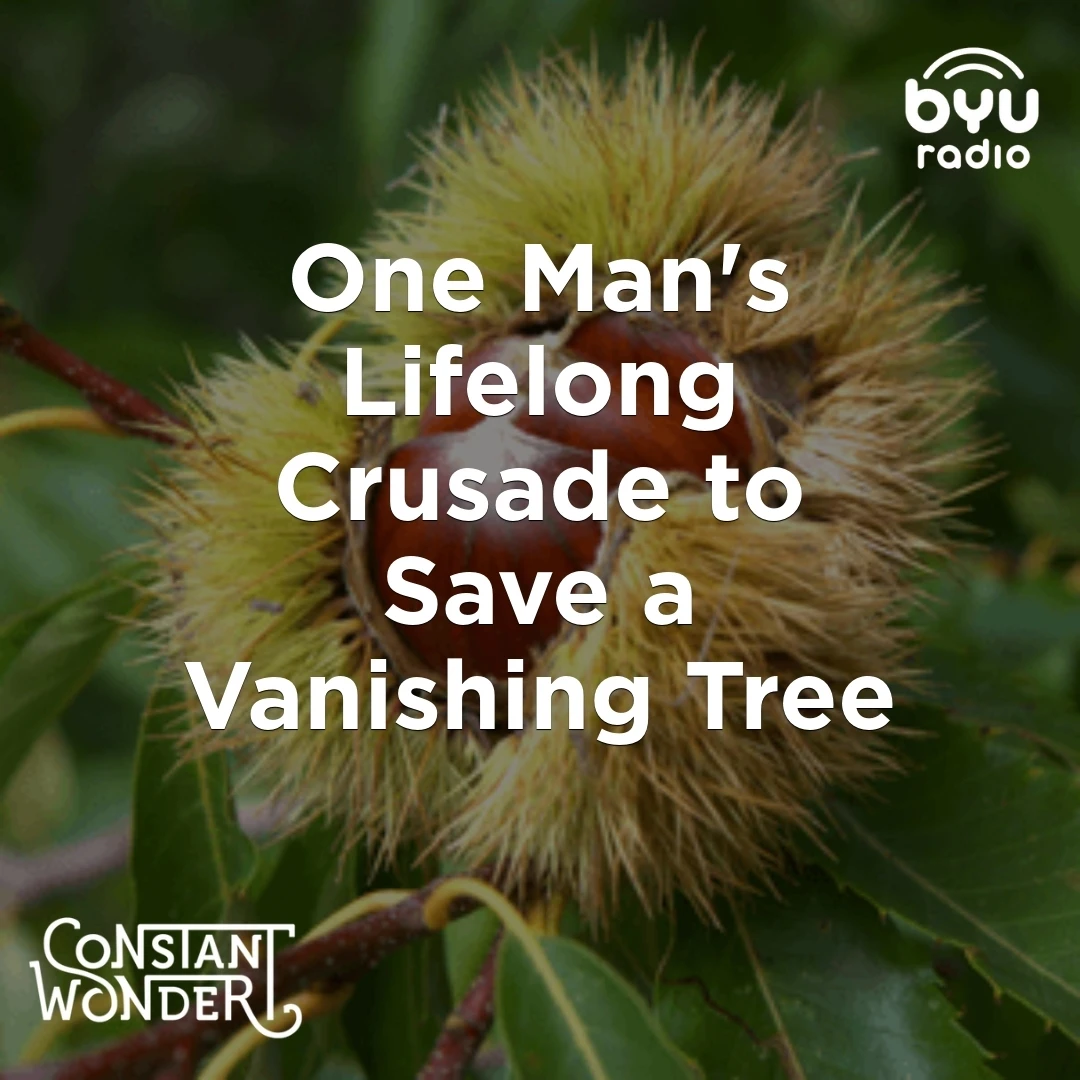 gU_rmuk2RBlEtijRLK-NrbKRJUu0QysQnH6nrjovHuY_fx8wzb