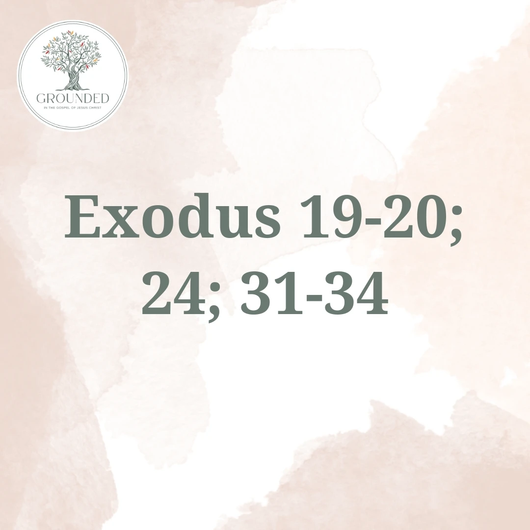 pXsw9qn-04lLnOkR1aFfVbp-HovZ5q5yKsMnCrzSD9c_jzpjy3