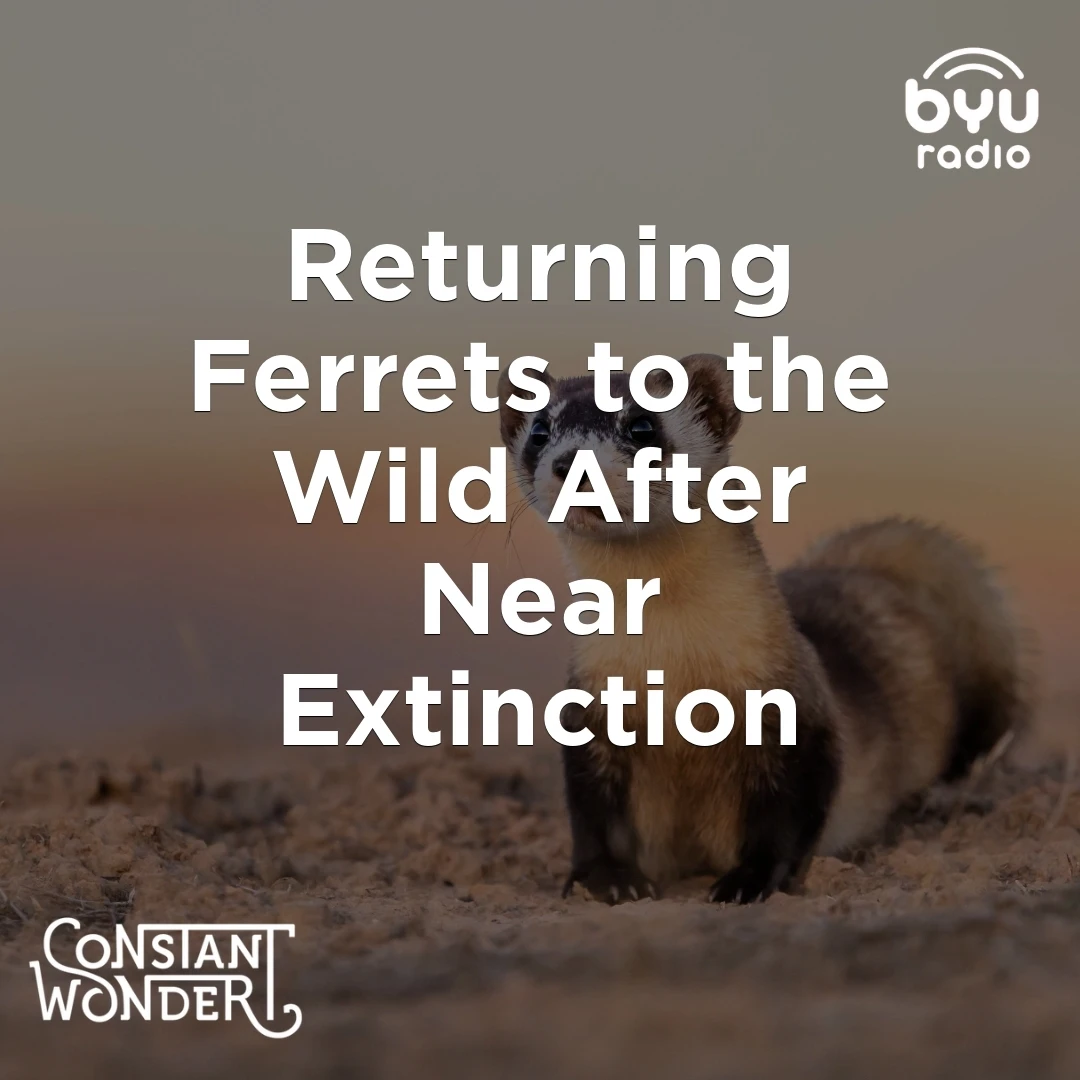 qcSU6TmtZaUjEopwramGOSLv2YY-hNGvMhhxgcrHNNI_pnbonp