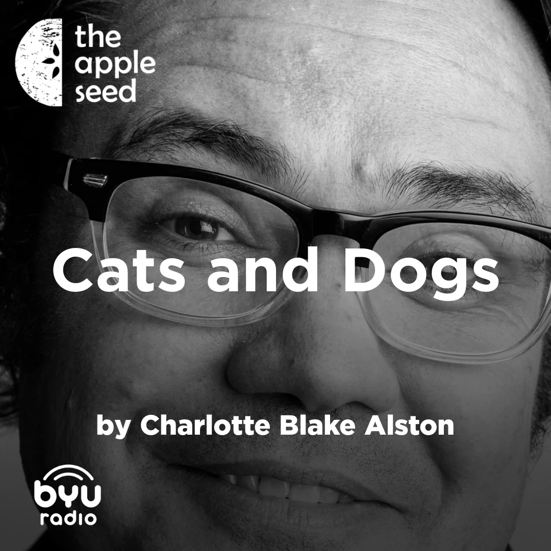 uHdAkEqPebcTE9KCf46arGvOnKUyZieK3St6J06pKcs_ymlgit