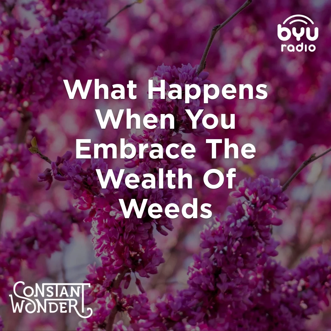 us1PscNDhNukEQmws1eFr9olKJ-89auXxh89Gl4aMYA_dkv4kn