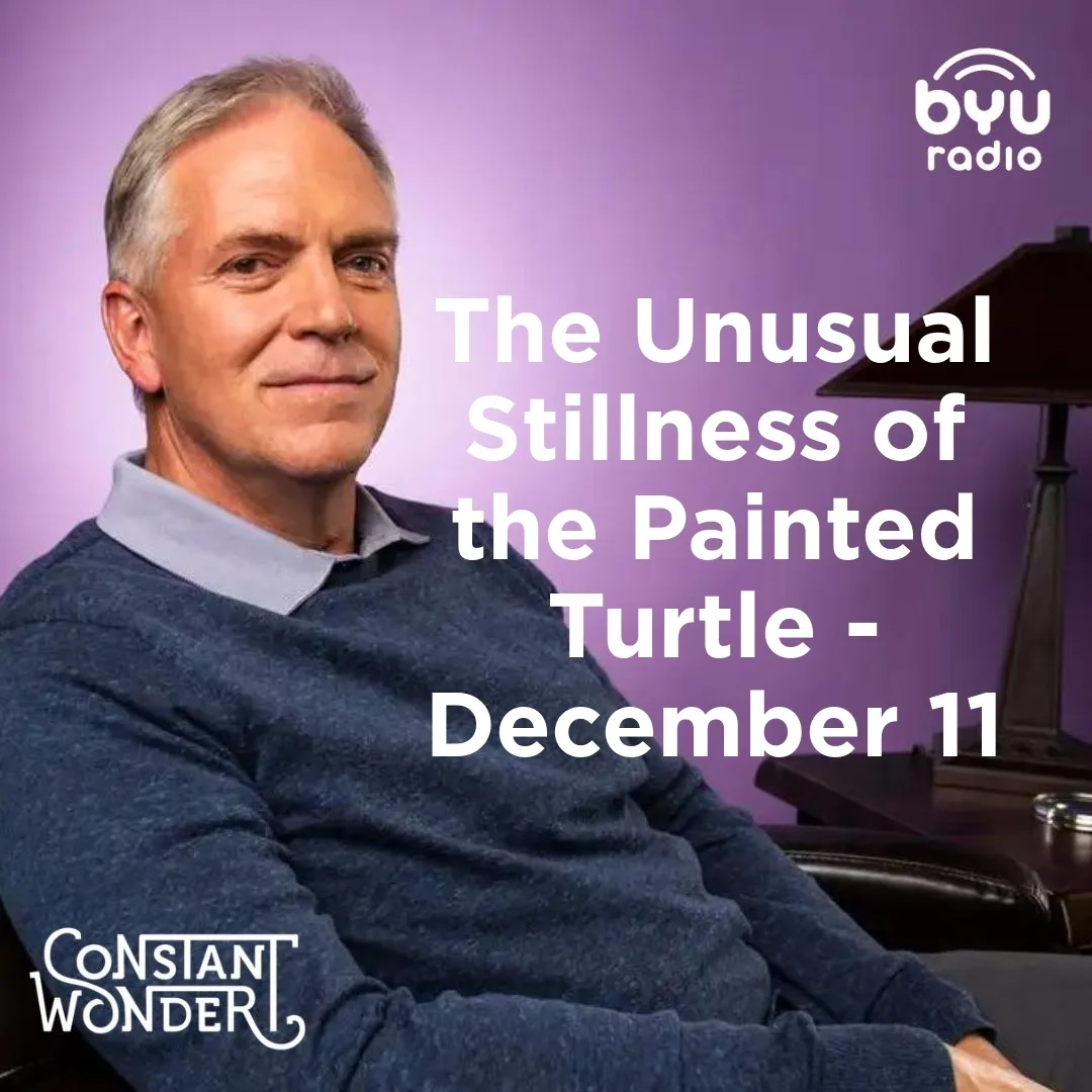 vE0ficj1izRyvyifa91DsfYkEOjL8QXGzlA-EmLtcaw_s7ywfs