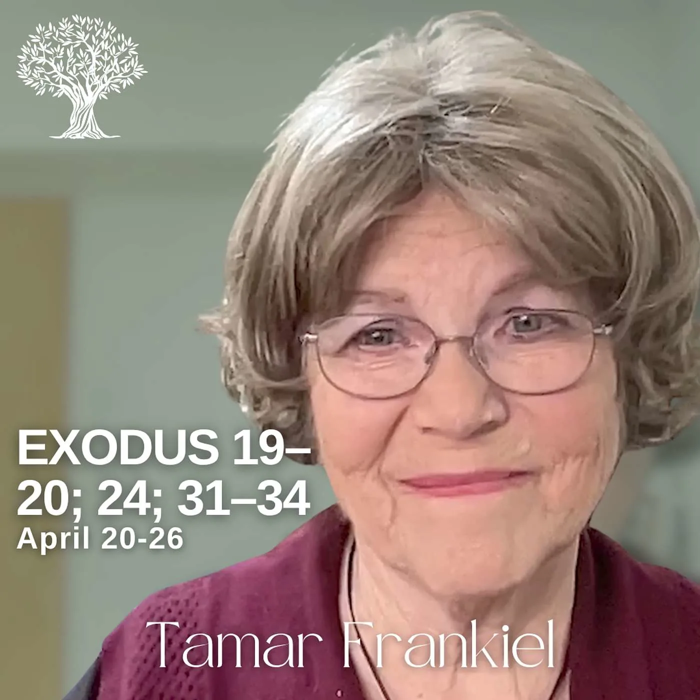 xO3rQQf7ofXYDGqhV6nkbTsW-A2Zl-ElBxfZQoejJAk_vvhy9u